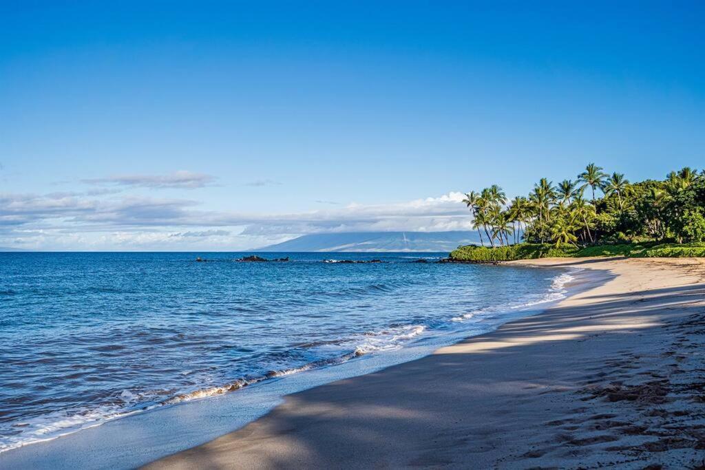 Апартаменти Aloha Moon - A Chic And Dreamy Modern Tropical Hideaway! Вайлеа Екстер'єр фото